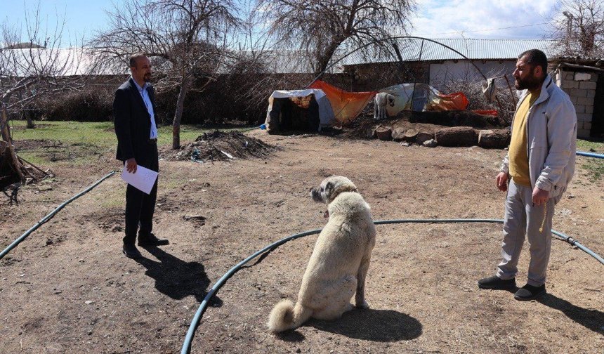 Tuşba Belediyesi sahipsiz köpekler için kırsalda kayıt ve kontrol çalışması başlattı