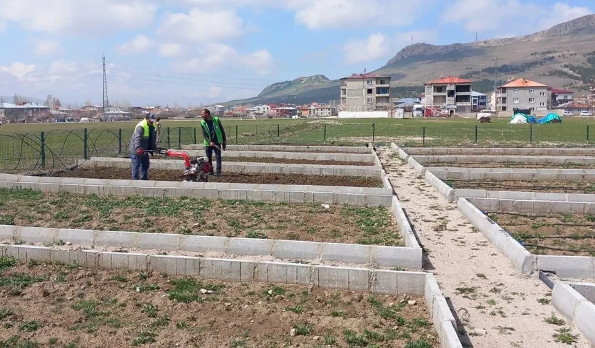 İpekyolu Belediyesi Bostaniçi Kadın Bostanı’nda yeni sezon üretimi başladı