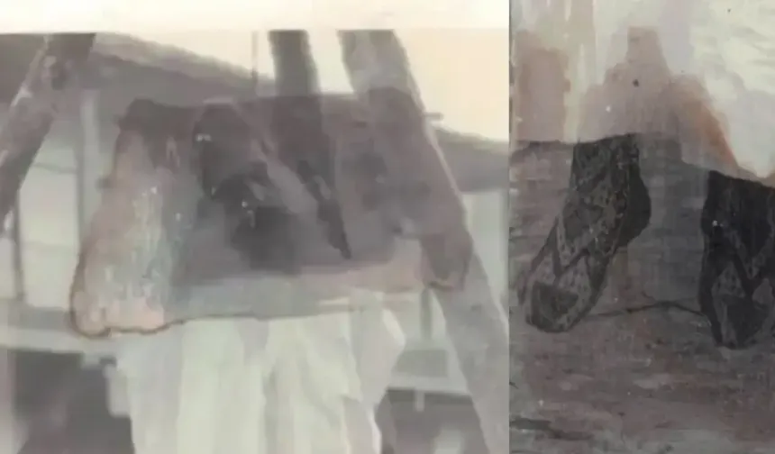 89 yıl sonra Seyit Rıza ve arkadaşlarının idam fotoğrafları ortaya çıktı