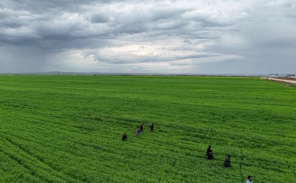 Diyarbakır'da kaybolan 3 yaşındaki çocuk tarlada uyurken bulundu