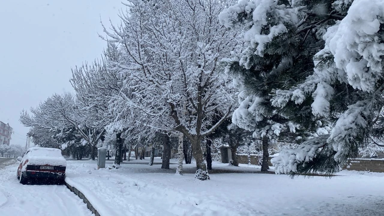 Erciş'te 28 Kasım Perşembe Okullar Tatil Mi?