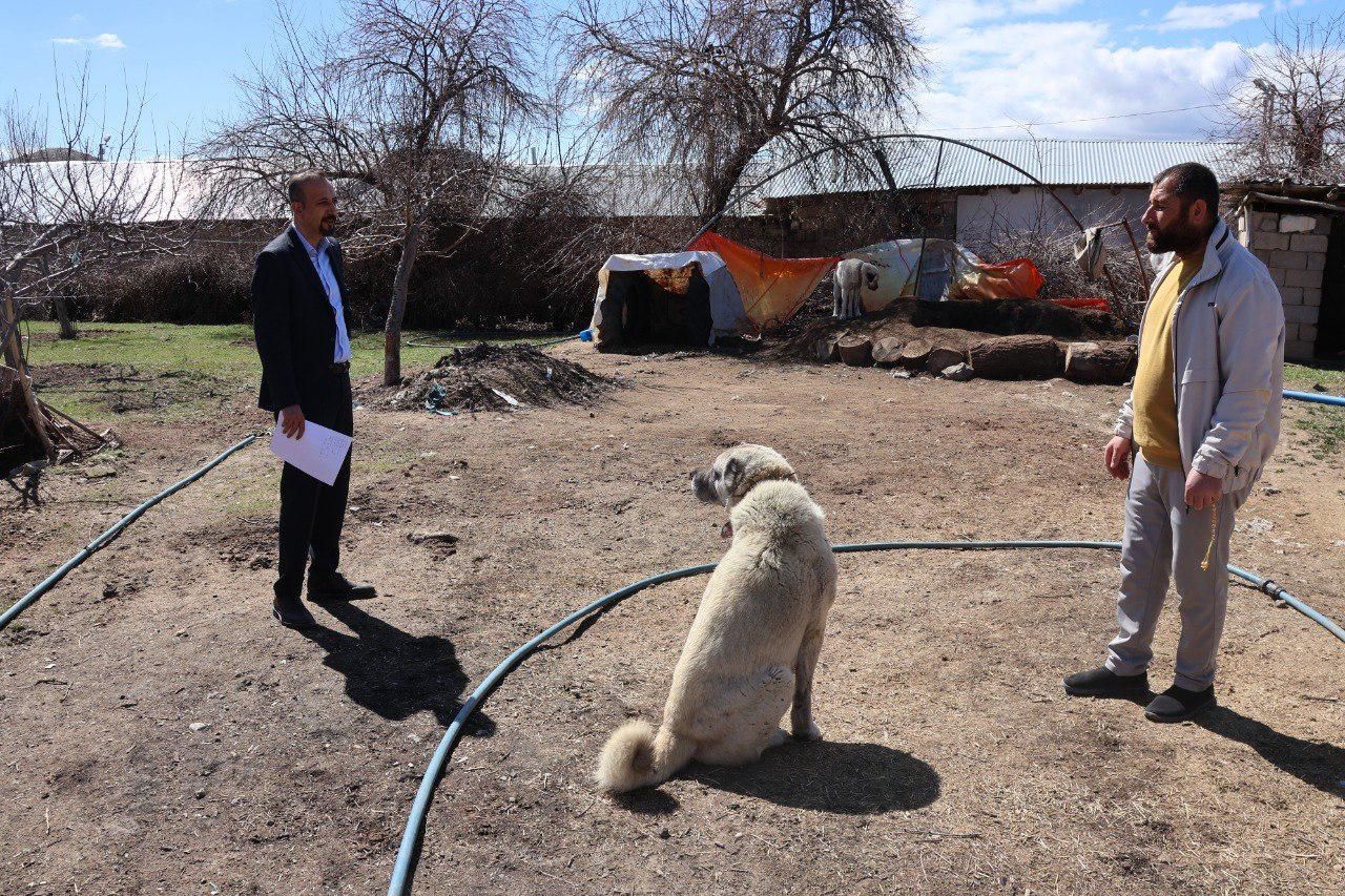Tuşba Belediyesi sahipsiz köpekler için kırsalda kayıt ve kontrol çalışması başlattı