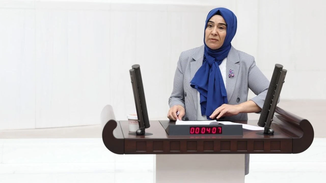 DEM Parti Van Milletvekili Varlı, Van’daki deprem gerçeğini meclis gündemine taşıdı